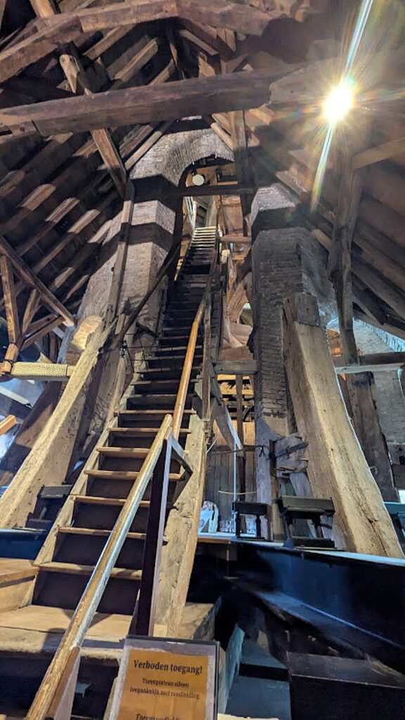 PXL 20250523 134136169e2 c Karen Rubin Bolsward