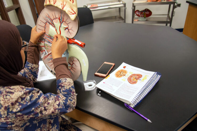 Penn College summer program welcomes pre-health students | News, Sports, Jobs