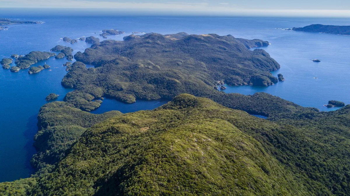 Pukenui Anchor Island