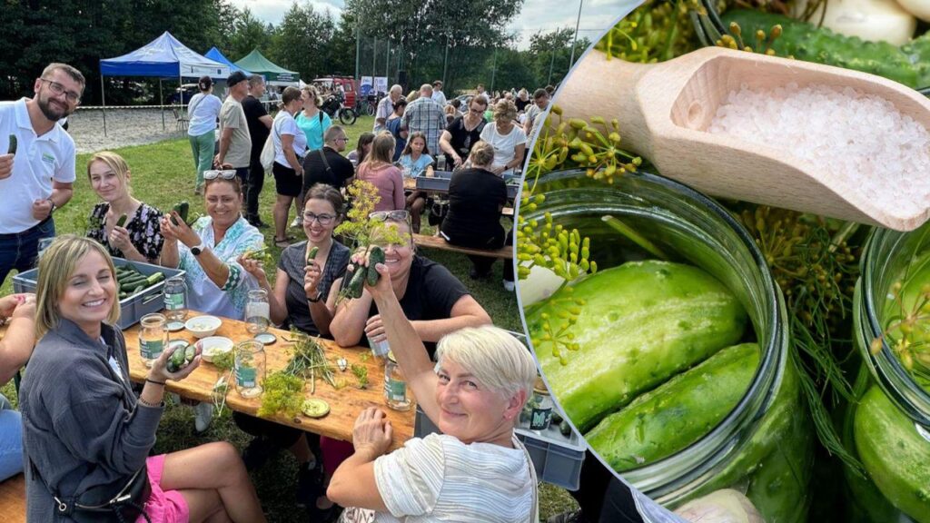 Polish pickle party sets gherkin pickling record