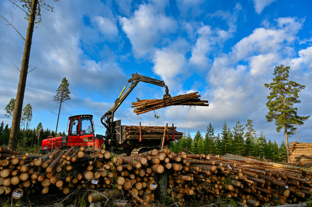 Wood harvest volume in Norway can reach historic high in 2025