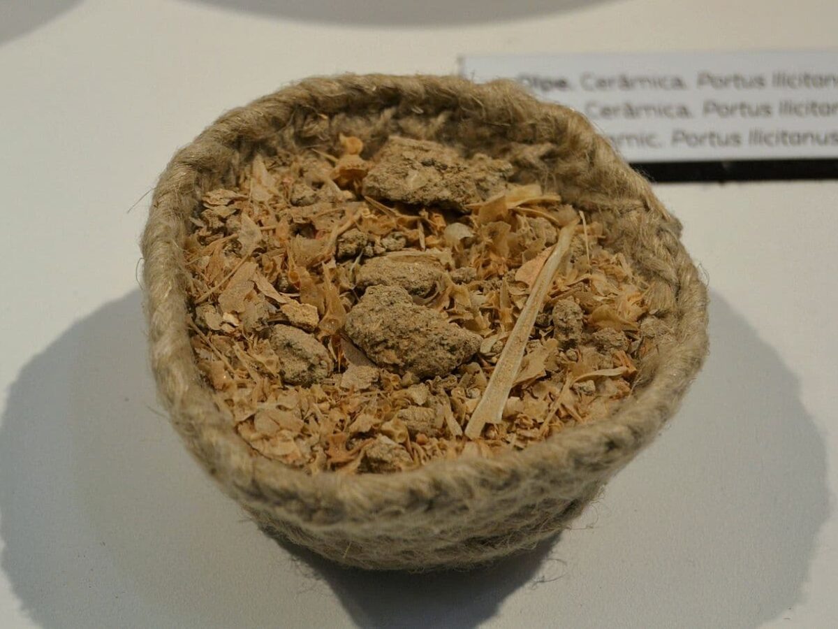 Ancient DNA Discovered in Remains of Roman Garum: This Is How the Empire’s Most Popular Condiment Was Made