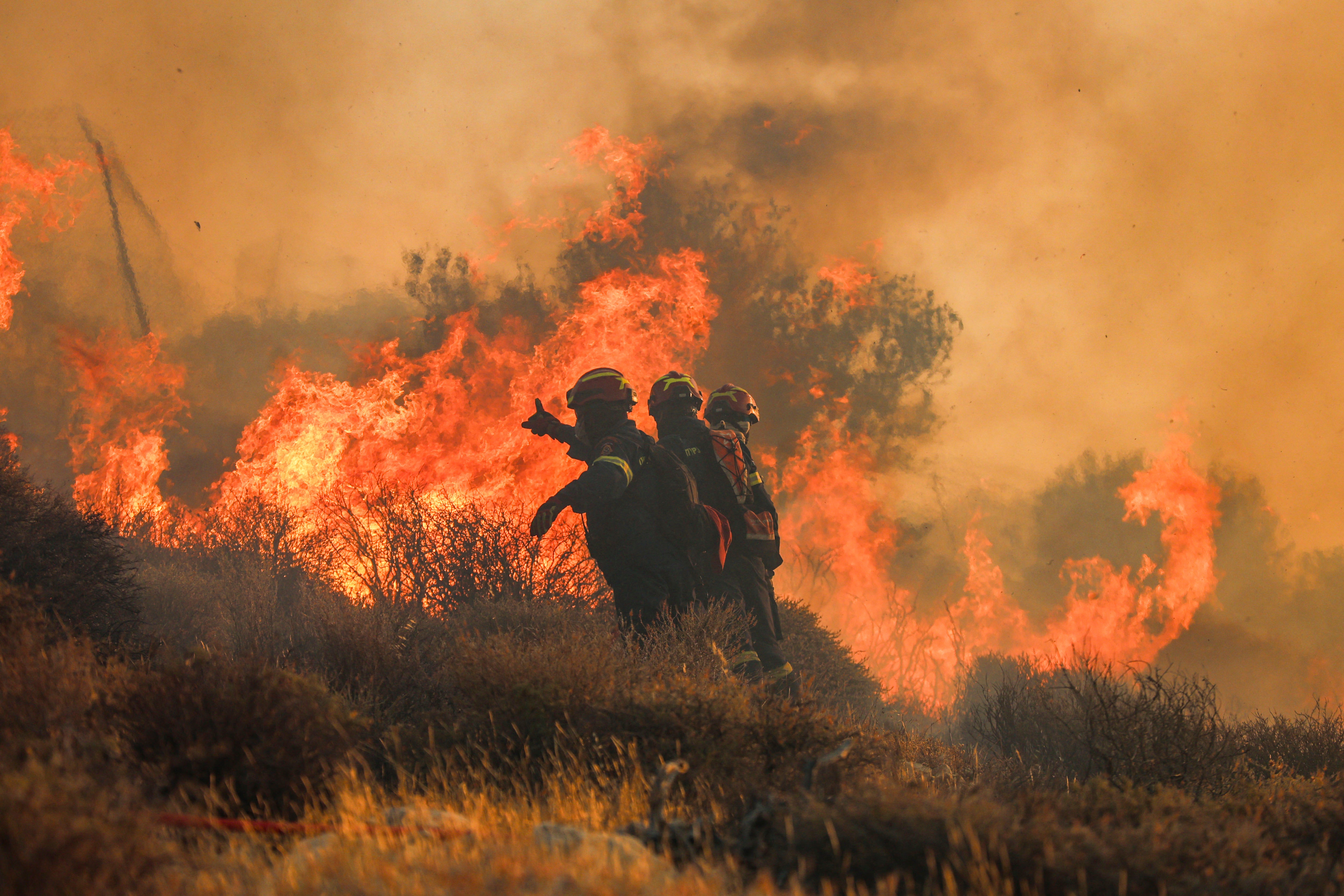 Firemen battle with a wildfire that broke out in Ierapetra, Crete