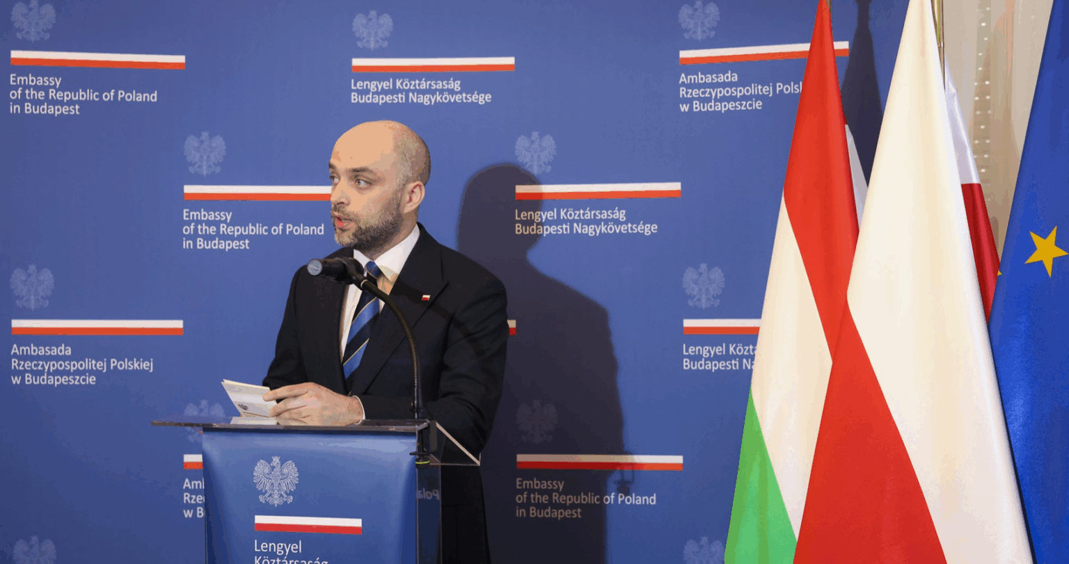 Poland withdraws ambassador to Hungary in row over asylum for opposition politician Poland withdraws ambassador to Hungary in row over asylum for opposition politician
