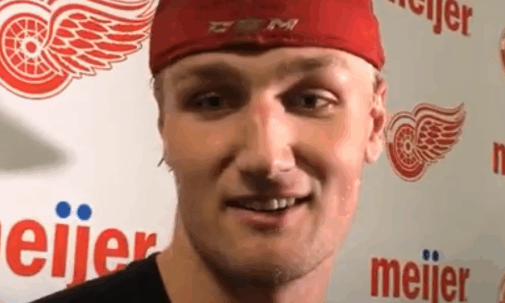 Red Wings Draftee Signs to Play in Poland Jesper Eliasson, , Red Wings draftee