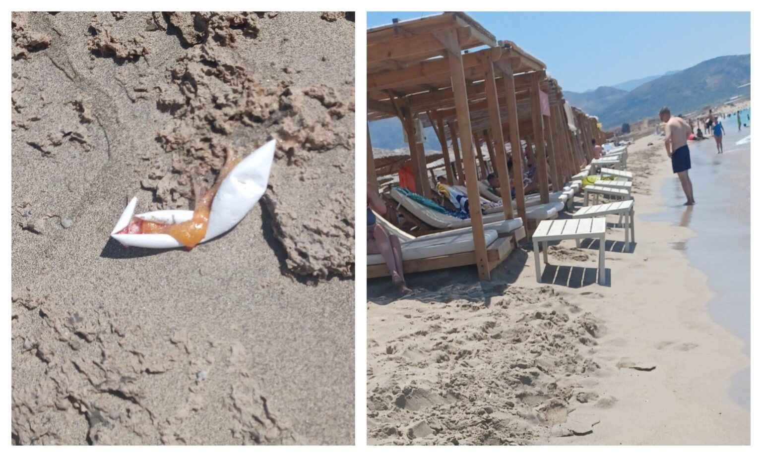 Complaint of Falassarna: Music in the Diapesa, Loungers in the Water and Dead Turtles on the beach Complaint of Falassarna: Music in the Diapesa, Loungers in the Water and Dead Turtles on the beach