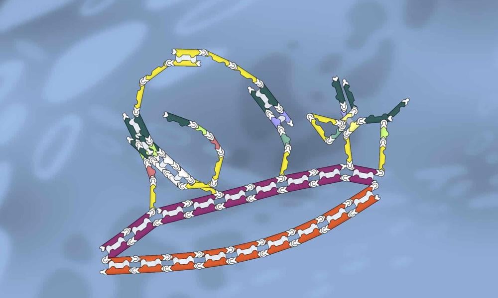 Gaming Cancer: How Citizen Science Games Could Help Cure Disease