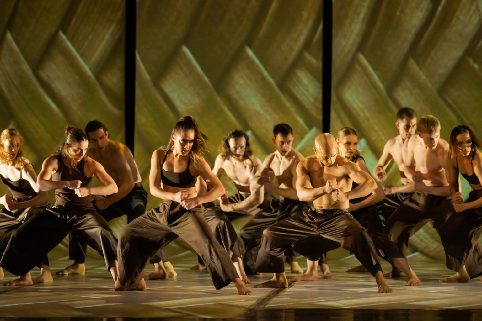 The Company of Home, Land and Sea, featuring dancers from the Royal New Zealand Ballet and the New Zealand Dance Company. Photo by Stephen A'Court.