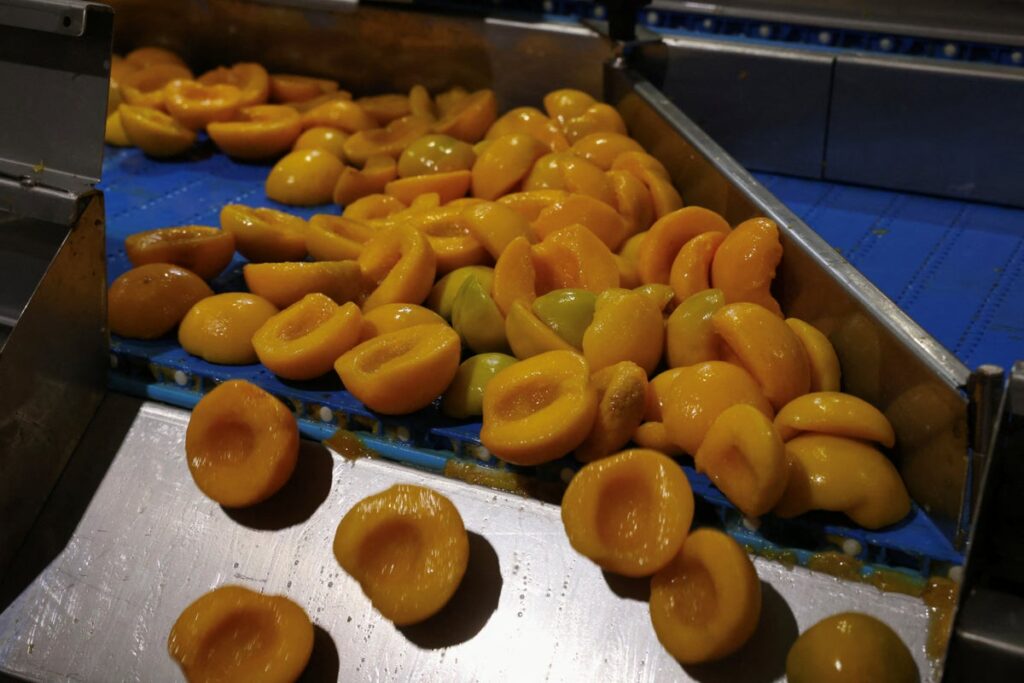 Trump tariffs hit peaches as Greece fears dent in demand Trump tariffs hit peaches as Greece fears dent in demand
