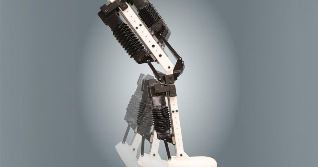 ‘Bone-ified muscles’ could be robots’ next flex : For Journalists - Bioinspired artificial muscles enable robotic limbs to push, lift and kick