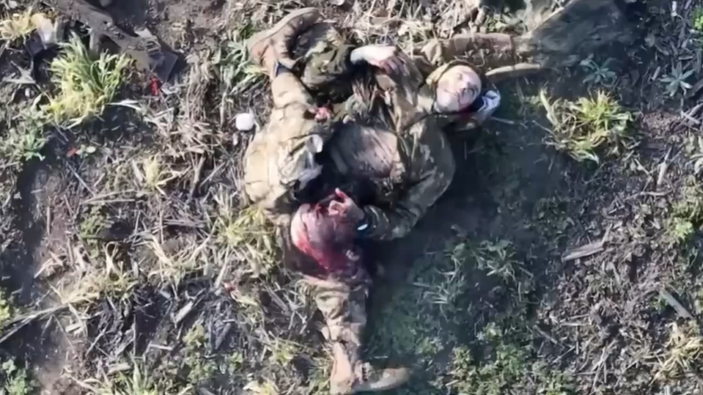 Madyar Birds Destroying Russians with Drones (extreme NSFW) Pokrovsk area