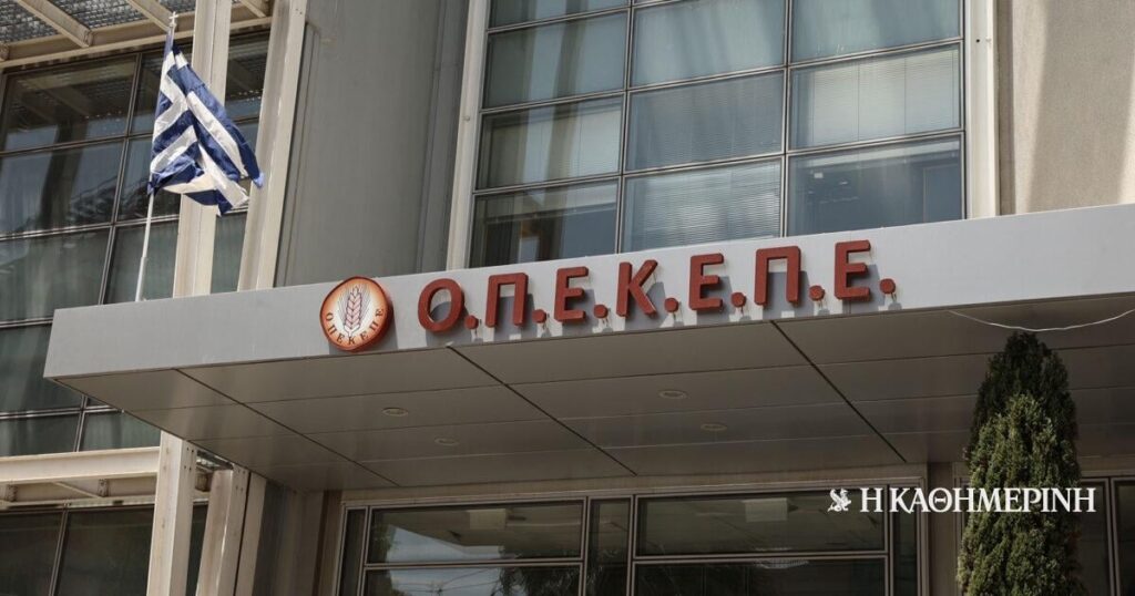 OPEKEPE: They threw Kats recycling with documents of the last decade | THE DAILY