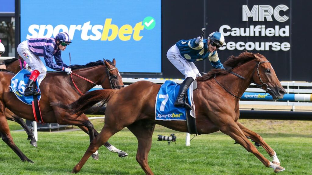 Italian stallion Per Incanto new hero of New Zealand breeding industry