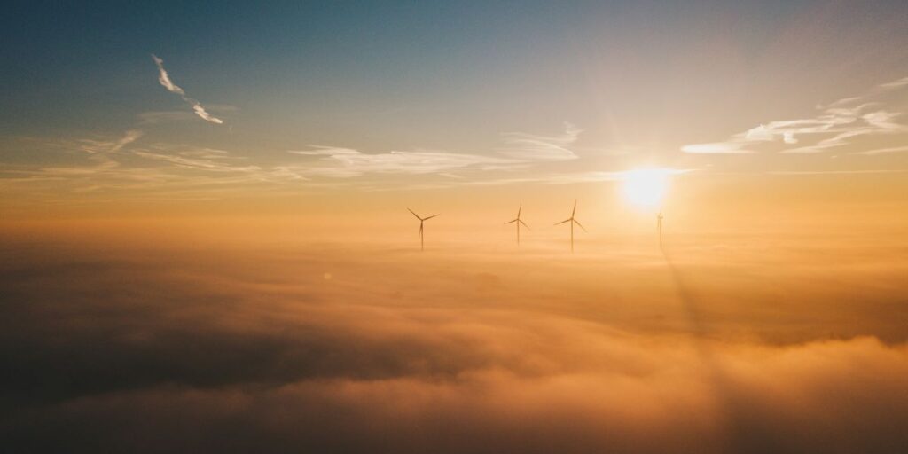 We Can Save Our Earth: Environment Opportunities 2025