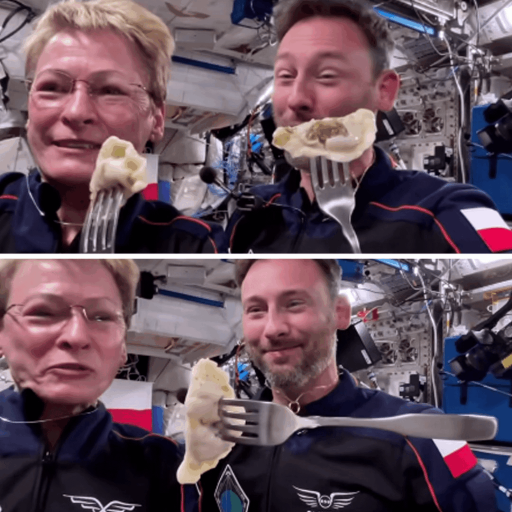 Pierogi finally into space!