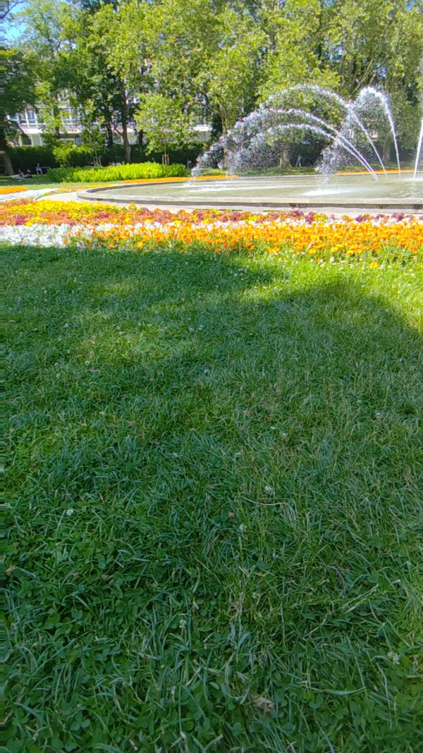 Greetings to the pioneer who sent the first post about going to the park. Ofc's plated grass: D