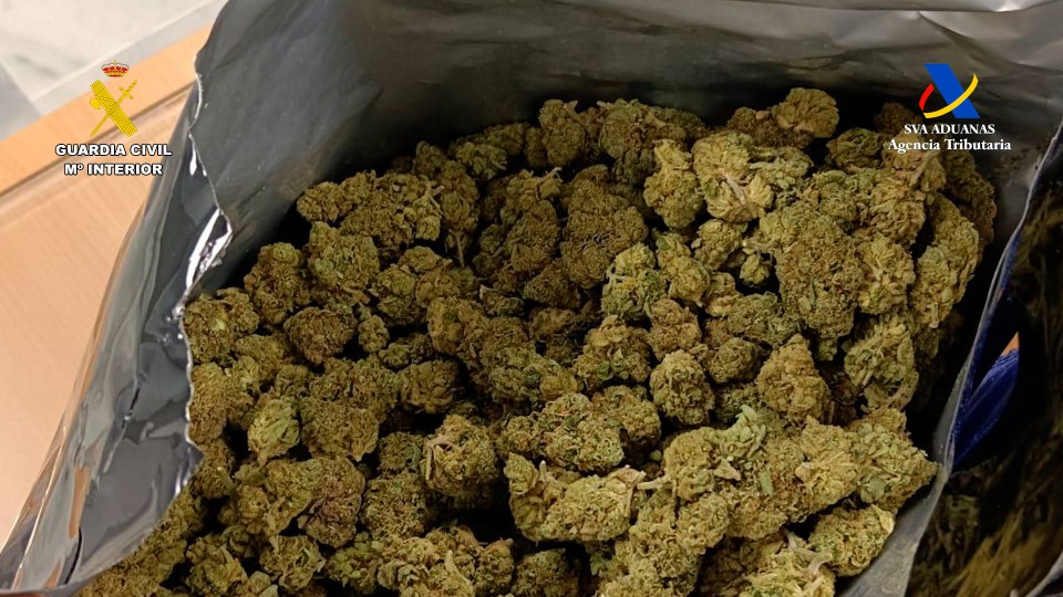 Seized cannabis resin.