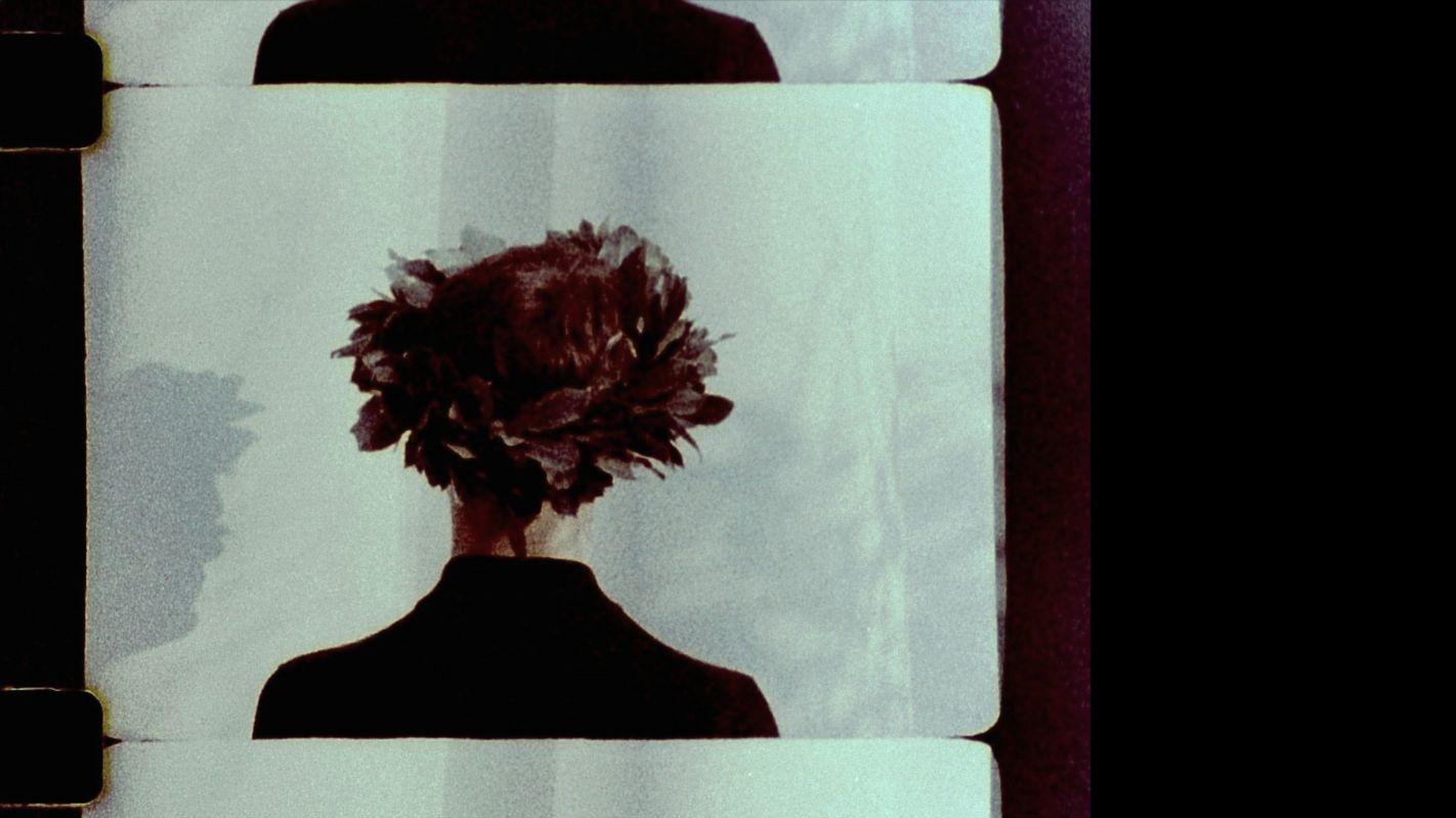 Screenshot from <em>Daphne</em>. Photo: C. Gallagher