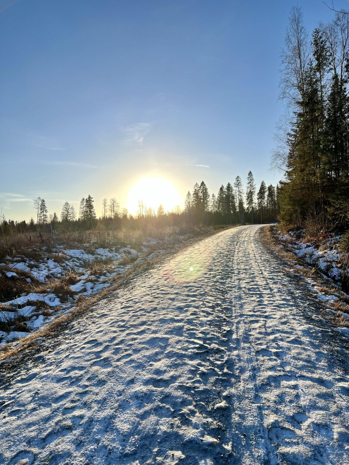 Finally visiting Norway after a postponed Christmas trip (horse injuries: 1, travel plans: 0)