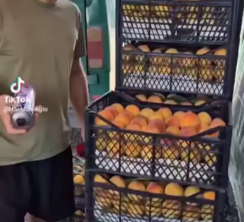 Peaches getting painted