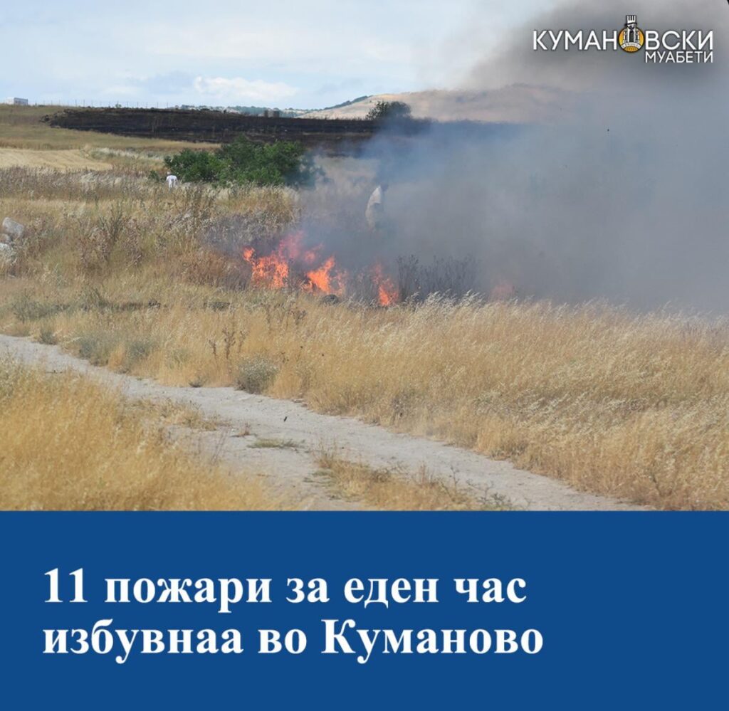 Dikaz Deka Site Ovie Pozhari (Samo Denes 30+ Niz Cela Drzhava) se nametnati i planirani