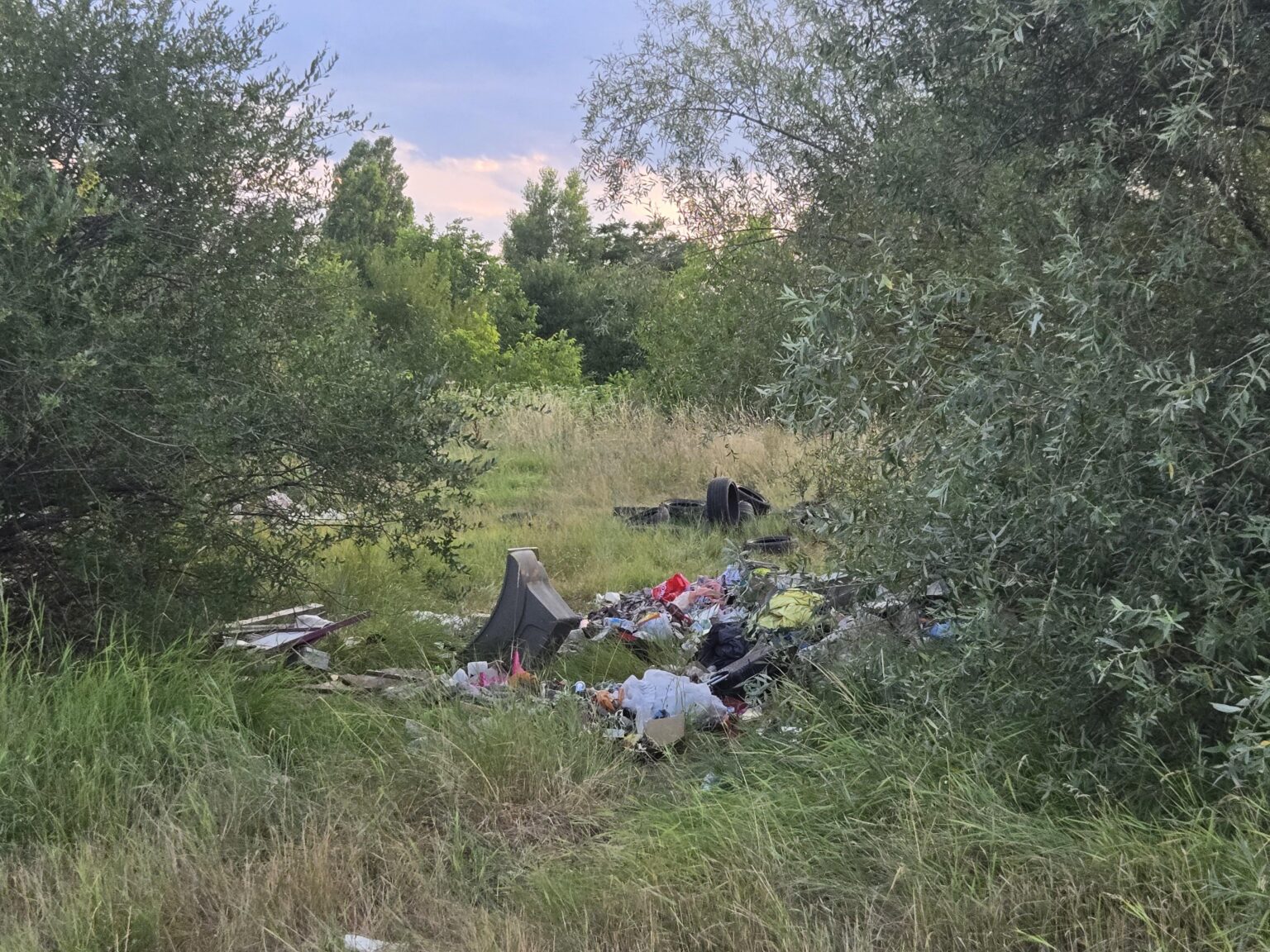 Europe won't ruin our country ... we're doing great alone