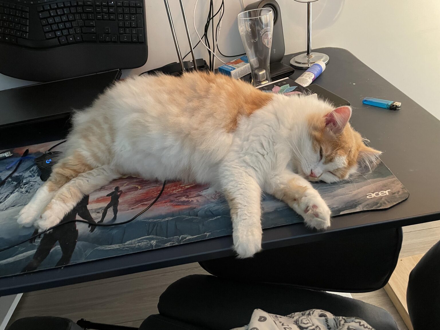 Last week I had to sleep because of my three -year -old cat from which I found my life in ruins, I still can't come to terms with the fact that he is gone.