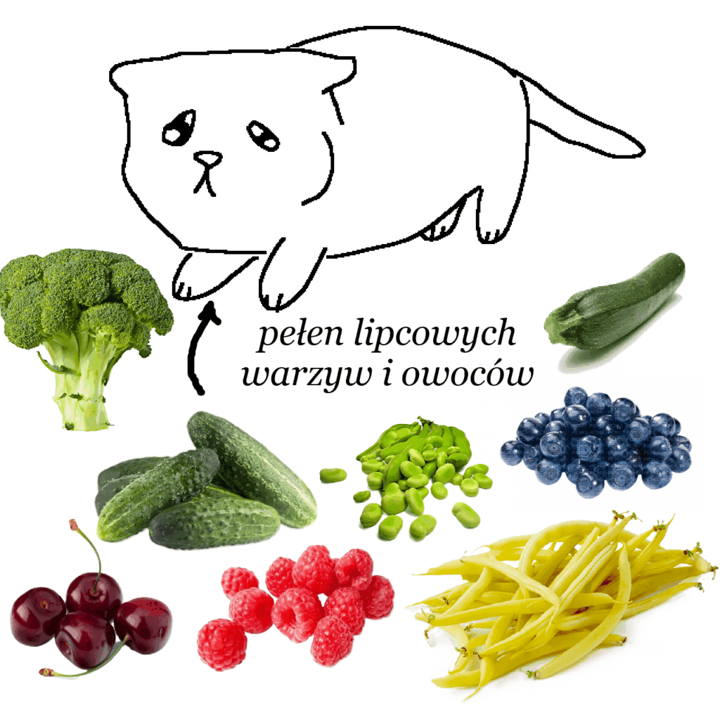 What is the best month in Poland for vegetables and fruits and why July?