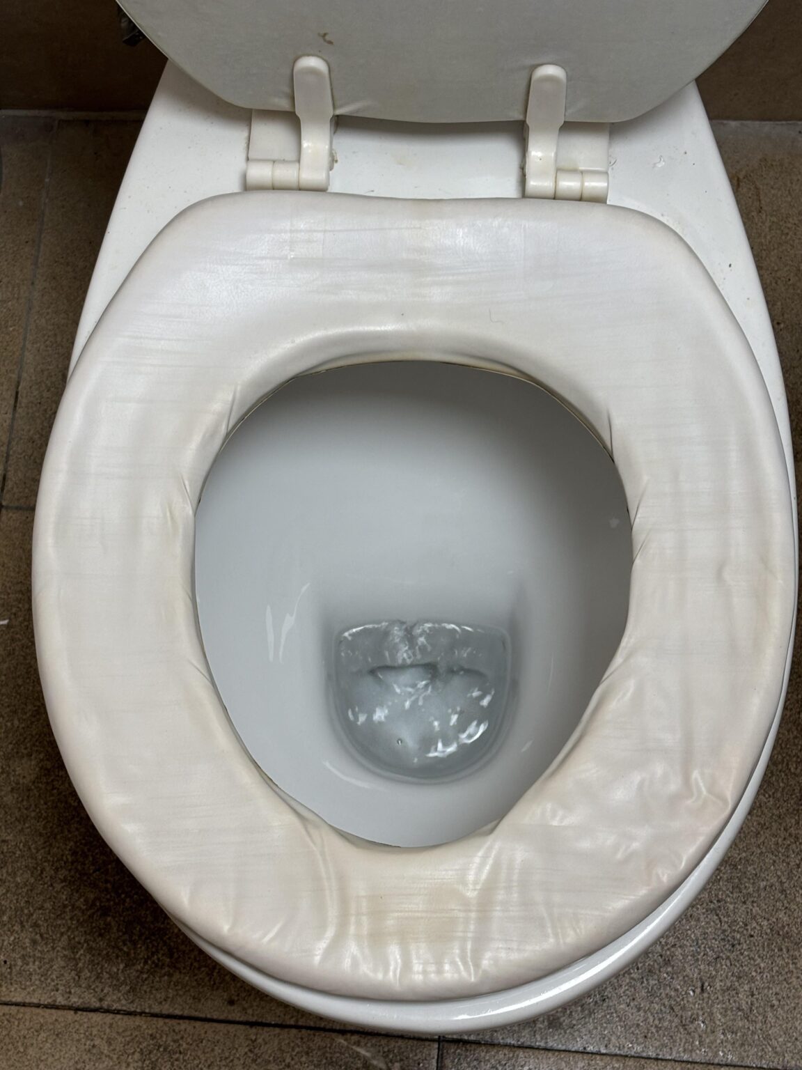 This foam toilet seat at a restaurant in Malta - dafuq