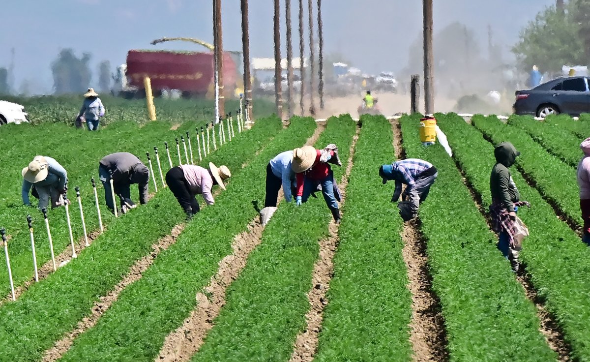farm workers 