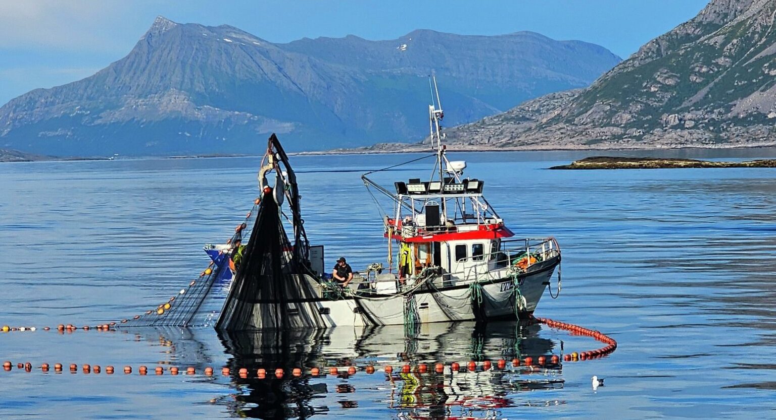 Norway herring export prices drop, mackerel falls to lowest in almost a year