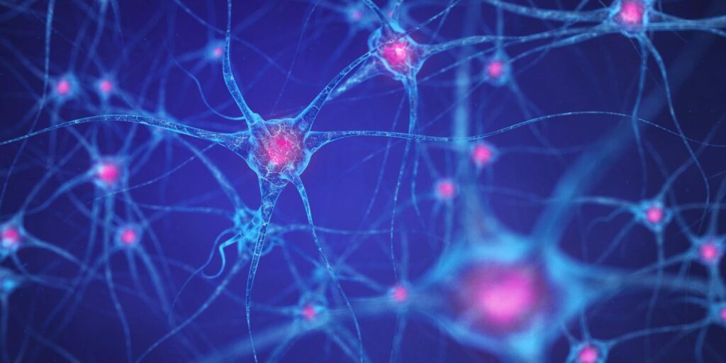 Ketamine repairs reward circuitry to reverse stress-induced anhedonia