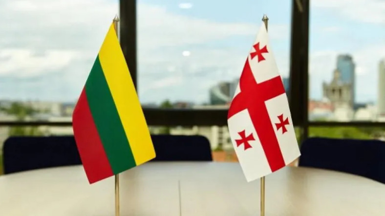 Lithuania expands visa ban to more Georgian officials – Democracy & Freedom Watch