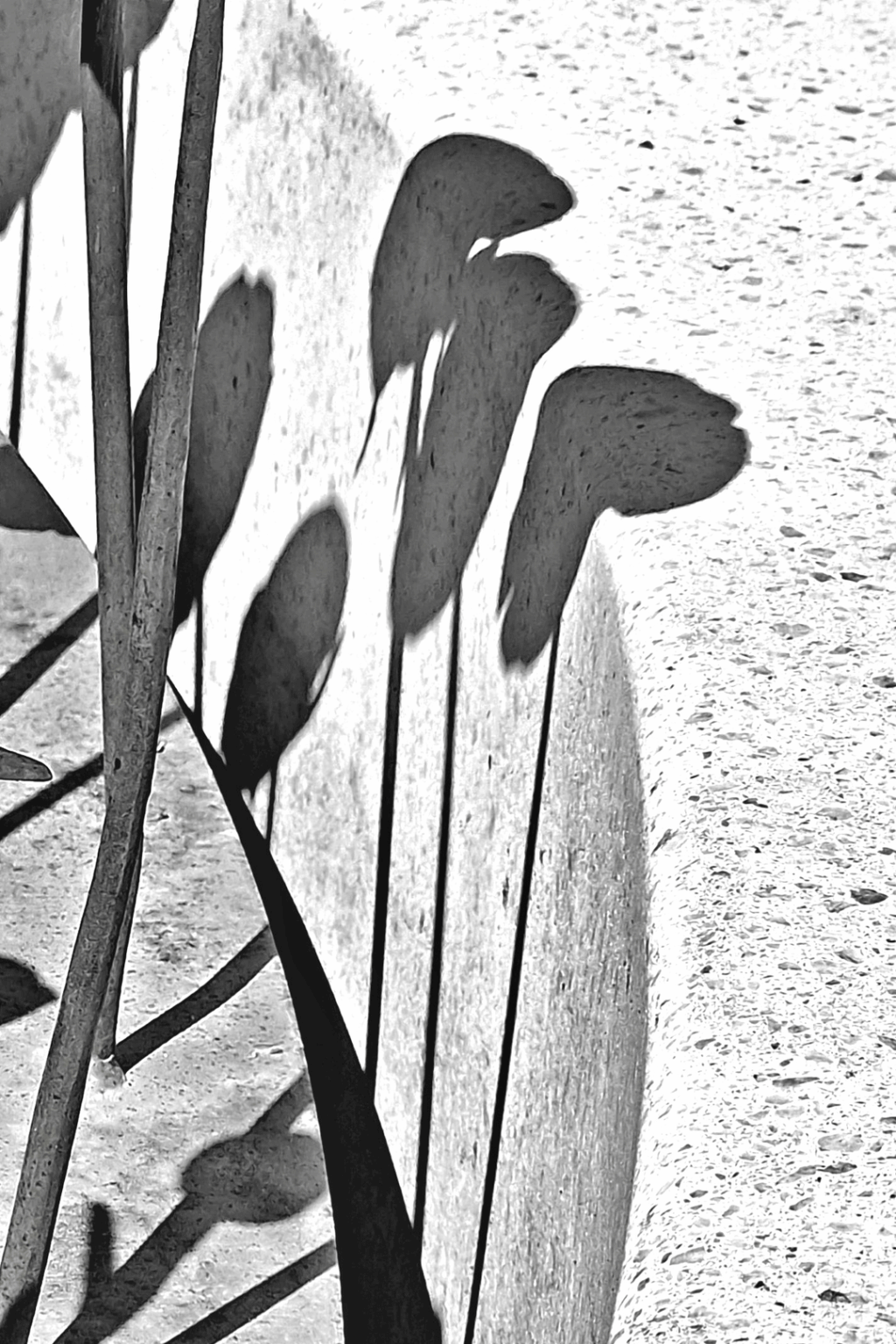iron roses: a memorial to the the victims of the july 22 2011 massacre