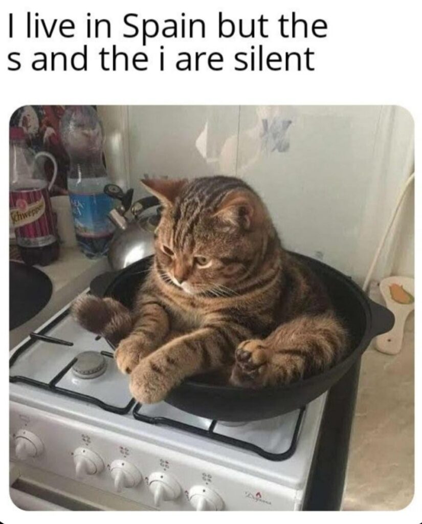 Does that make me panish