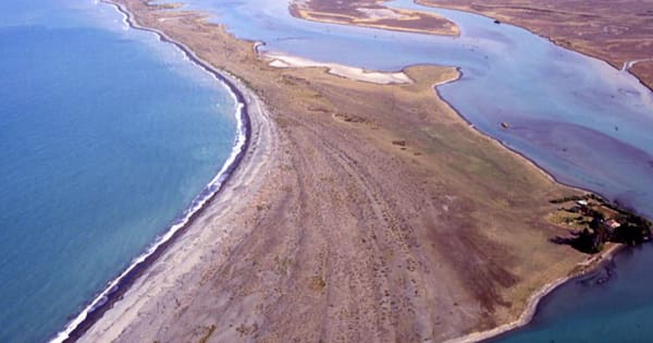 Threat to one of NZ's oldest burial sites the 'canary in the coal mine'