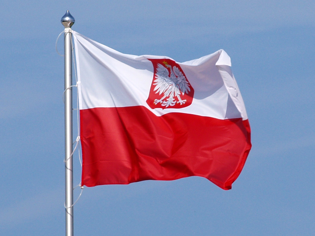 Magyar aims to strengthen Hungary-Poland relations Hungary has a vested interest in good cooperation with Poland, minister says