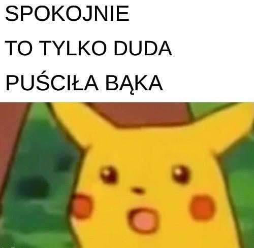 Poland will stand
