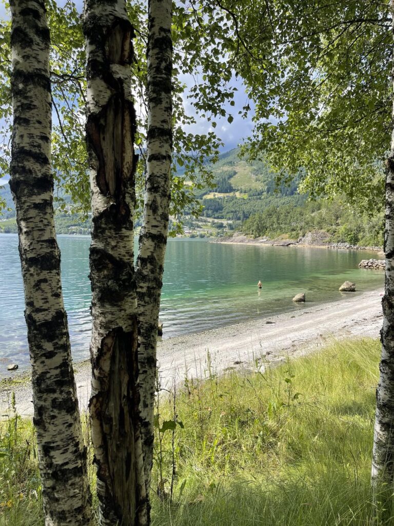 peaceful summer moments & 100 shades of green💚 nordfjord