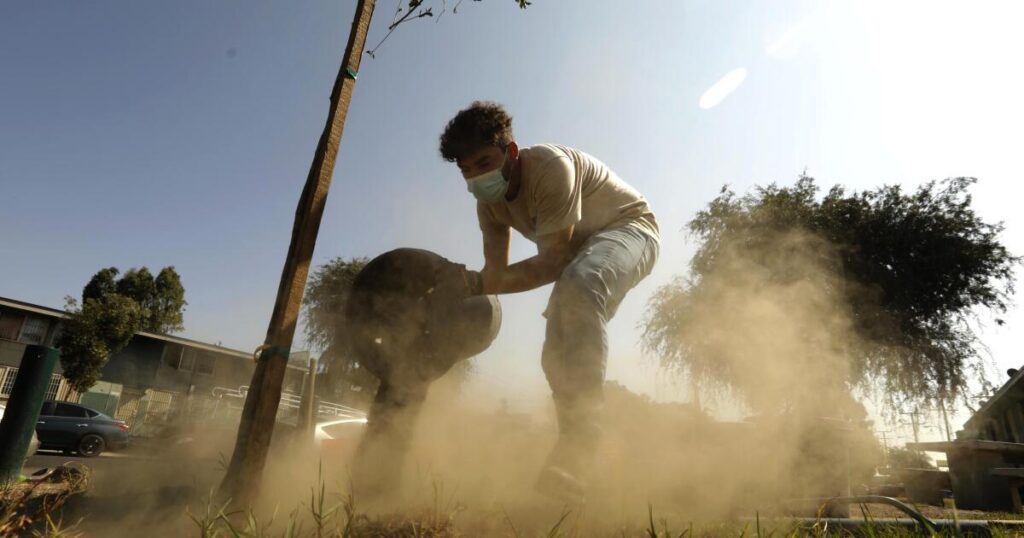A forest the size of North America would be needed to offset Big Oil's reserves