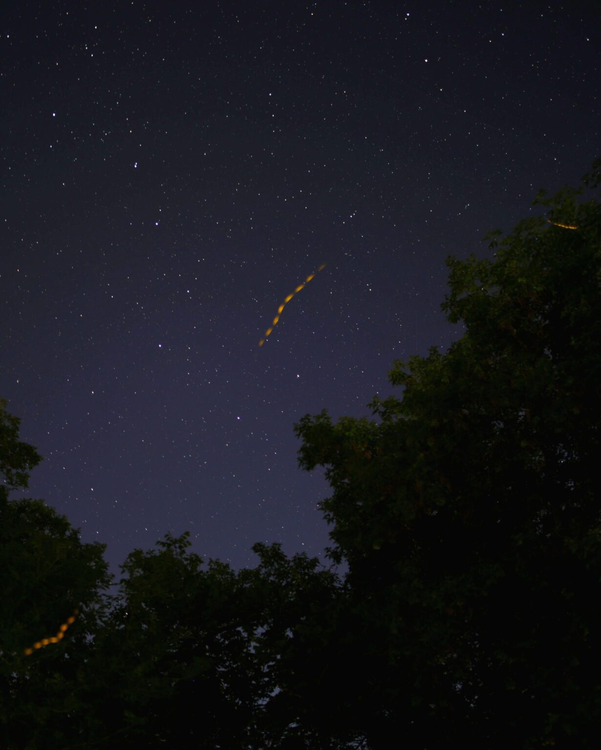 Photobombed by fireflies when I was shooting a timelapse hoping for aurora.