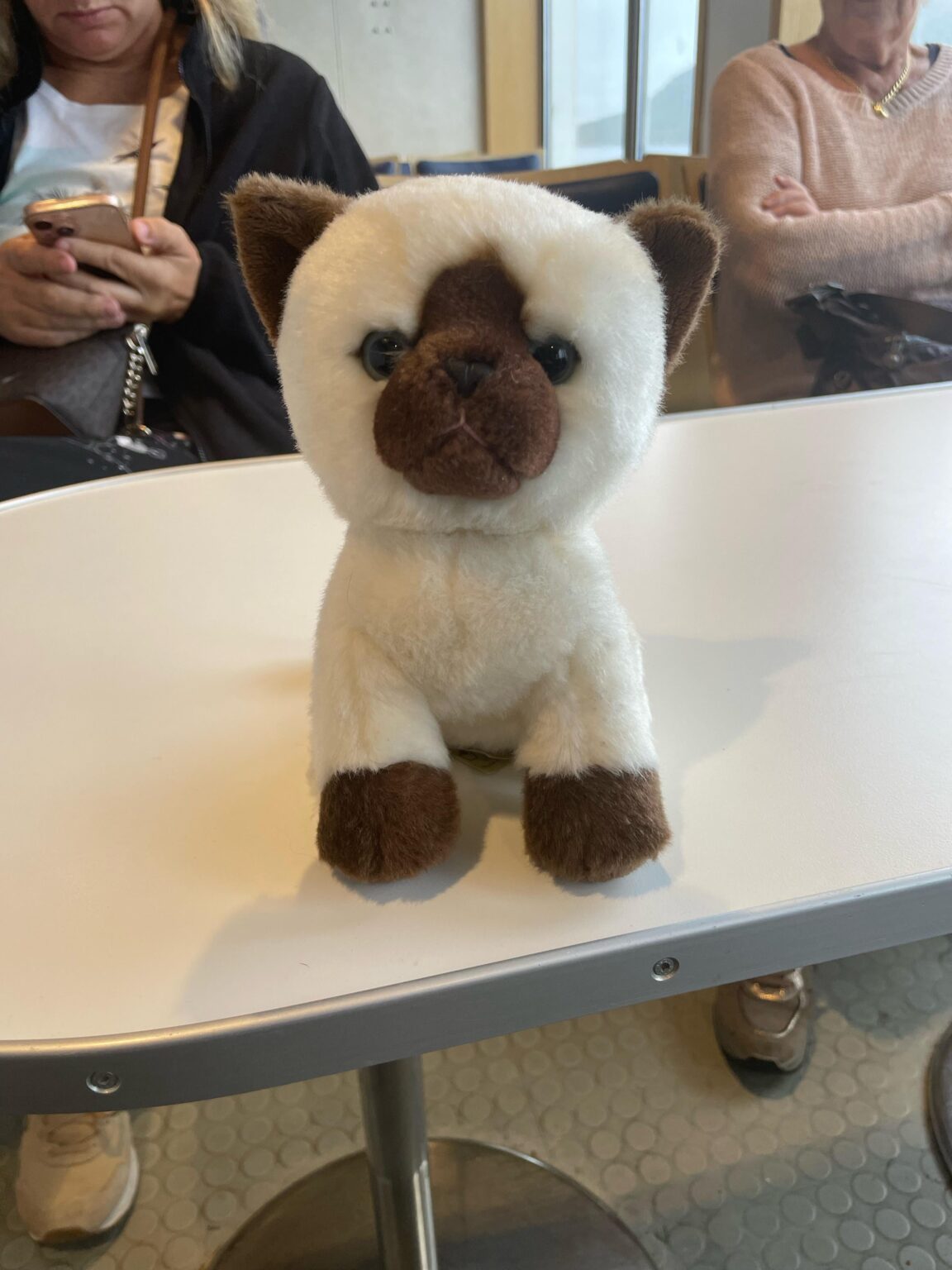 Found cat plush on a ferry!