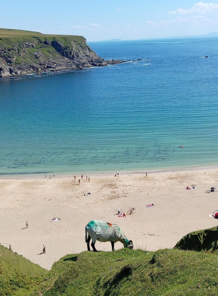 Spent the heatwave last weekend visiting a few of Donegals amazing beaches. The county has over a hundred beaches and most of them are empty, even on the hottest days of the year.
