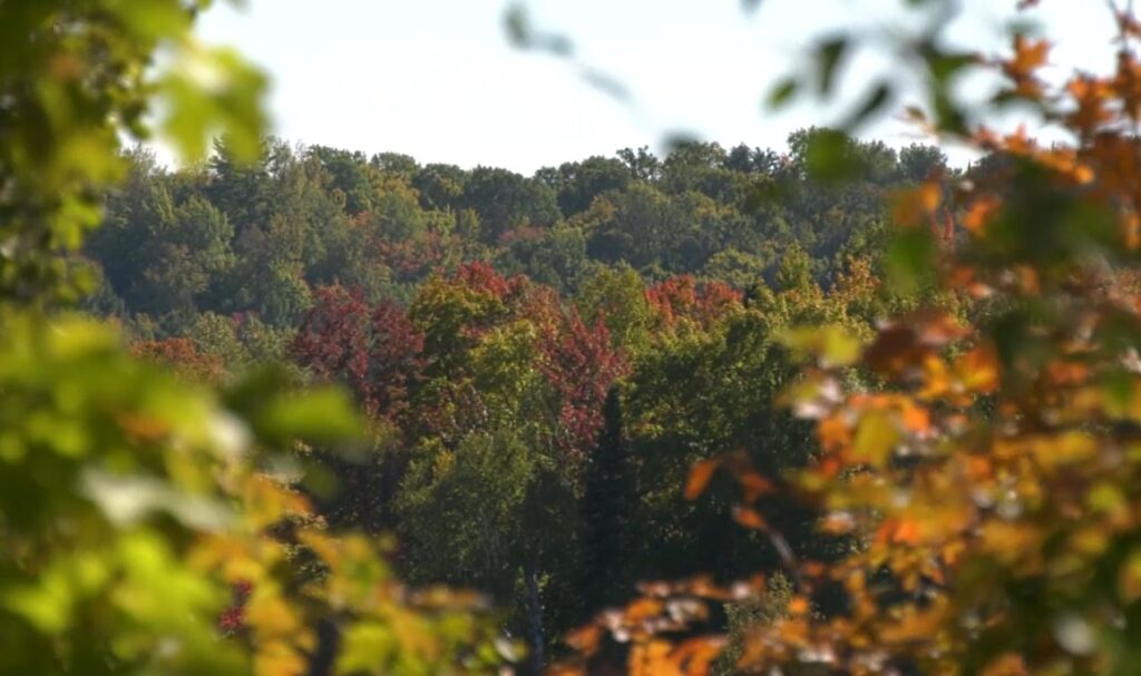 Environmental Groups Push Back on $50 Million Grant Tied to Upper Peninsula Mine