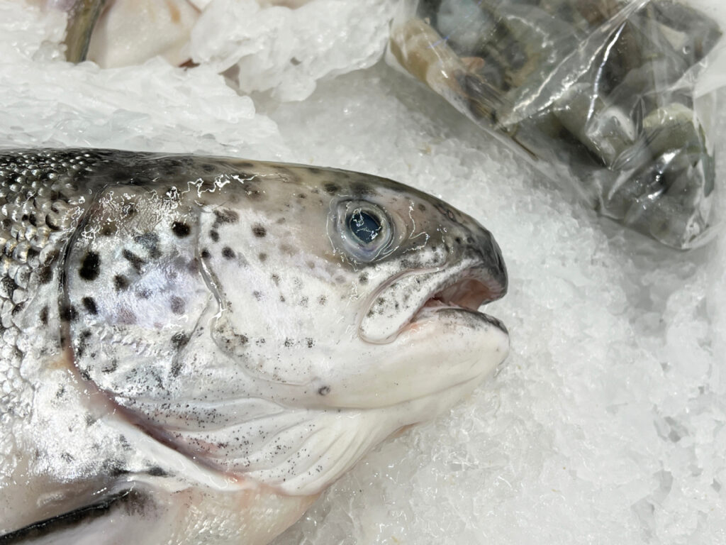 Fish Farmer - News - Trout and farmed cod becoming Norway's new export gold
