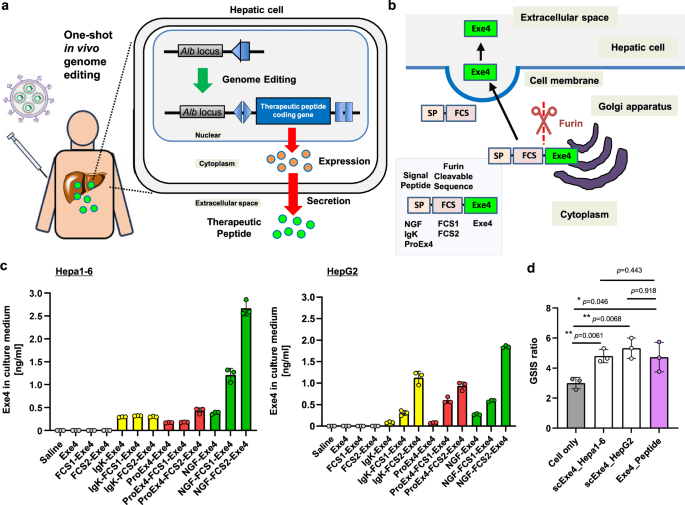 Japanese researchers got obese mice to lose weight using single-shot gene editing to get their bodies to produce the same drug that is in Ozempic.