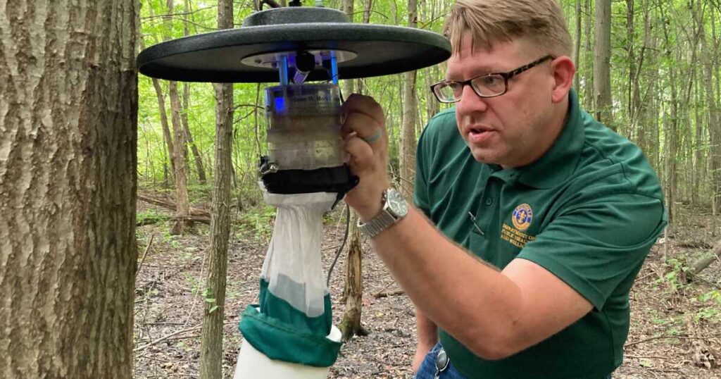 Louisville health department says mosquito control can start at home