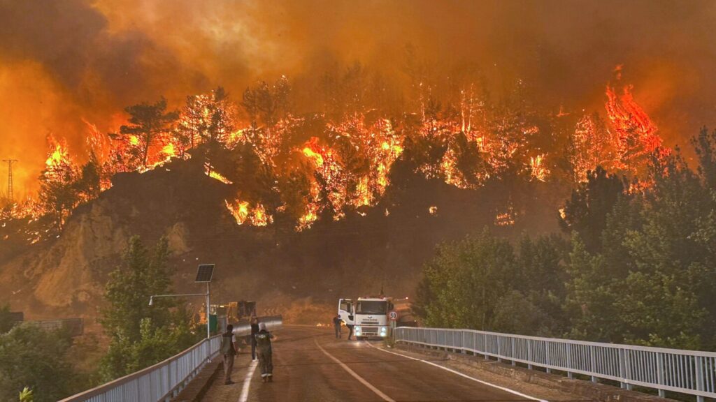 Wildfires threaten Turkey's fourth-largest city as southern Europe grapples with blazes