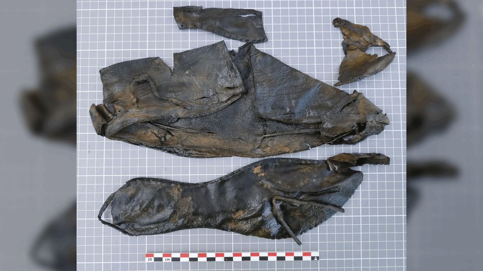 remains of brown leather shoe
