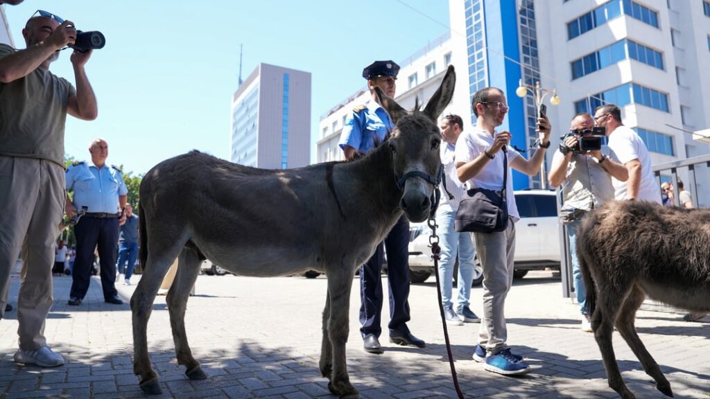 Dono protest in front of the Kosovo Assembly toward political stalemate